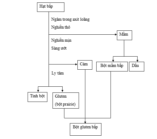 Quy trình sản xuất tinh bột bắp